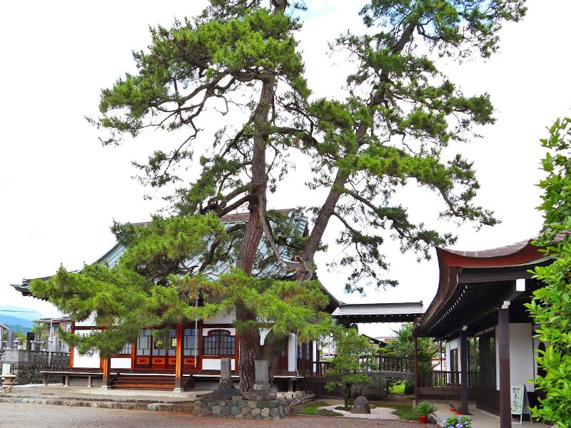 南アルプス 成妙寺