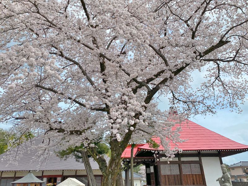 あきる野 西光寺フラワージュ