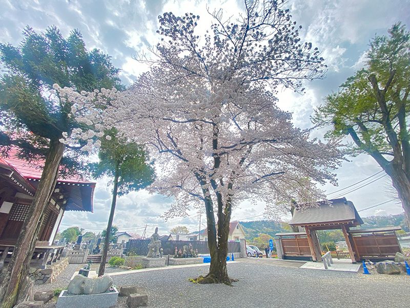 あきる野 西光寺フラワージュ