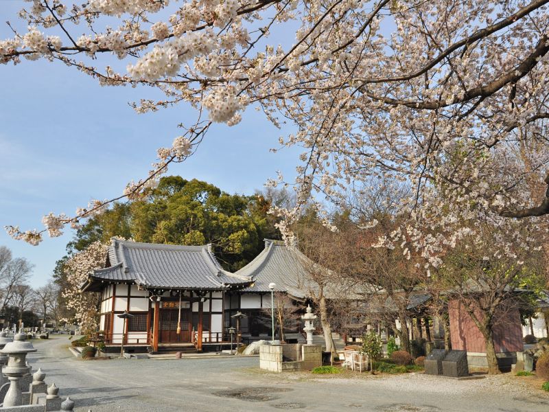 西藏院（西蔵院）