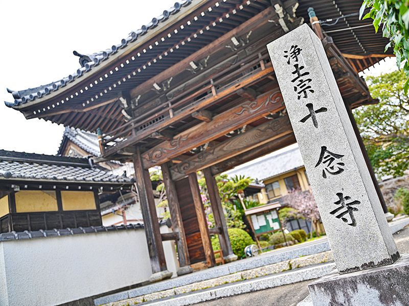 十念寺霊園 樹木葬・永代供養墓
