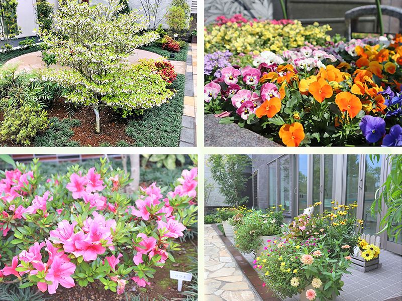 園内の色とりどりの植栽