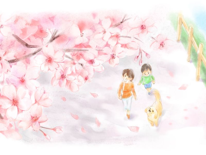 石神井川沿いの桜並木が美しい霊園