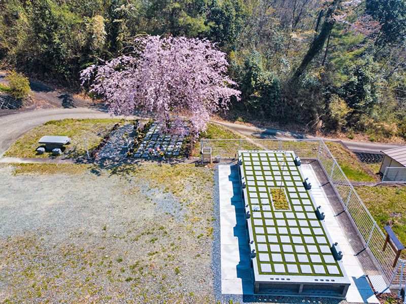 山名霊園　樹木葬