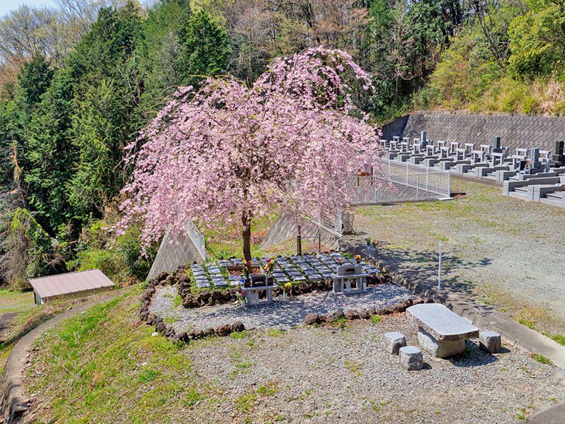 山名霊園　樹木葬