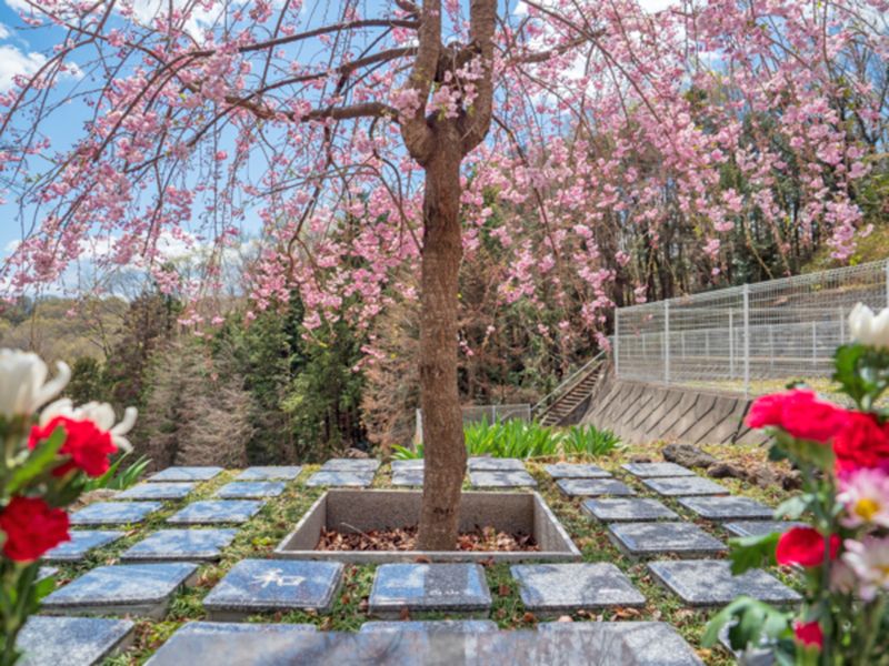 山名霊園　樹木葬