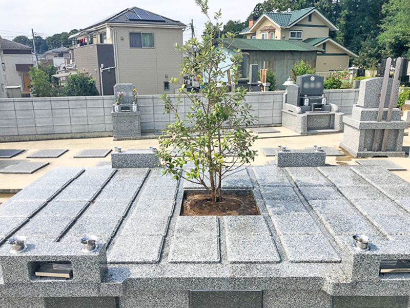 川越市下広谷共同墓地　樹木葬