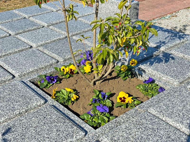 長慶寺 くまがや樹木葬「大樹」