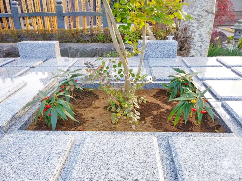 函南町妙法寺樹木葬