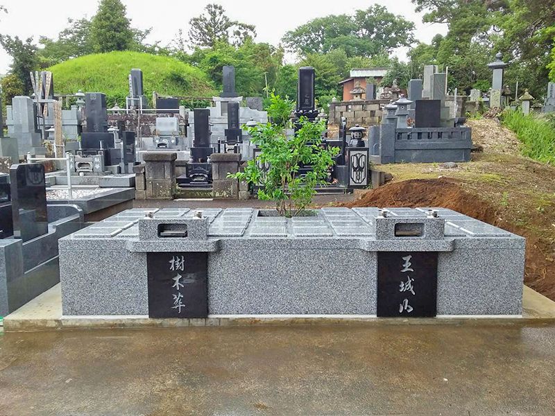 六萬部寺 王城山樹木葬