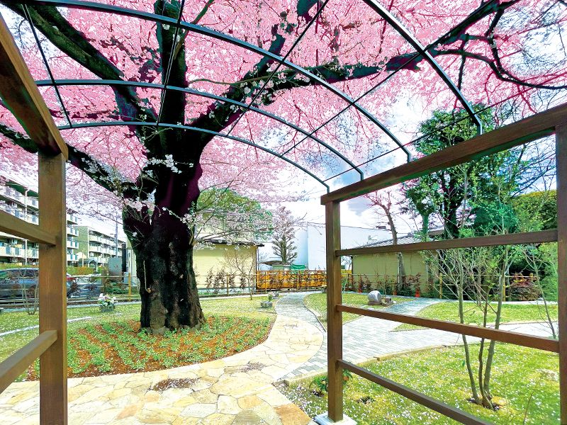 樹木葬 田無さくら庭園