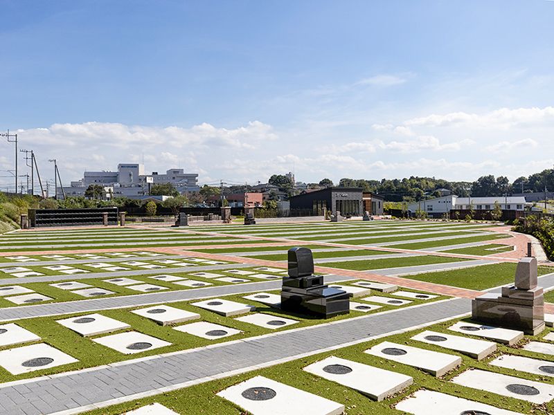 オリーブGardenユーカリ