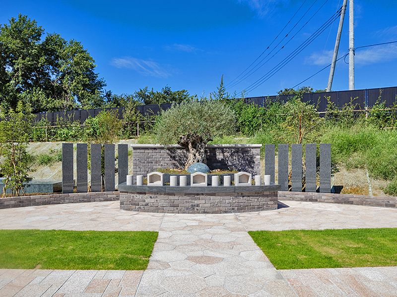 オリーブGardenユーカリ