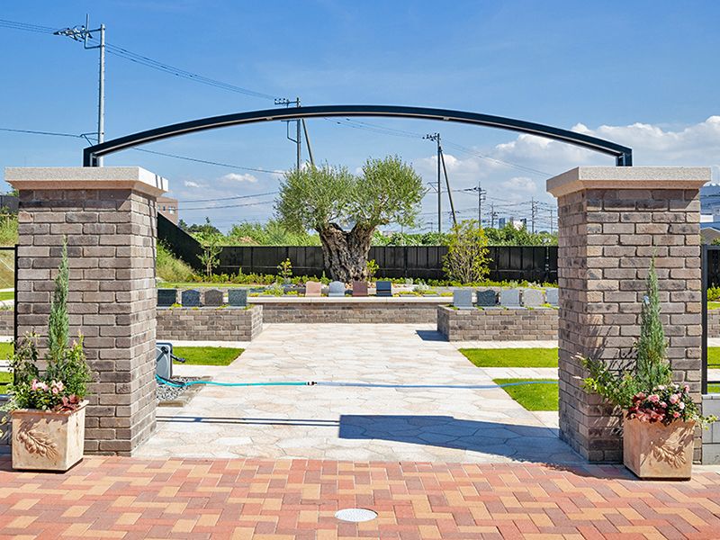 オリーブGardenユーカリ