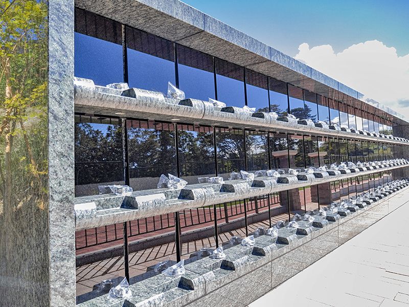 オリーブGardenユーカリ