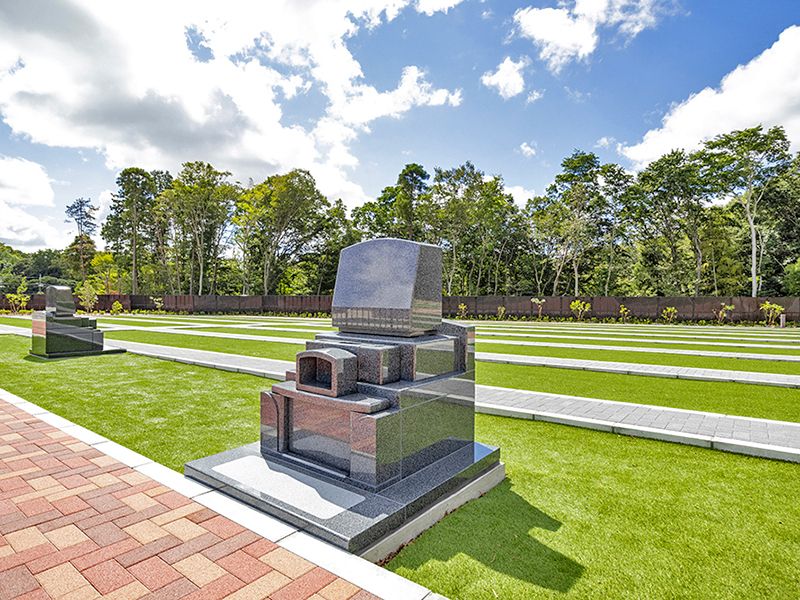 オリーブGardenユーカリ