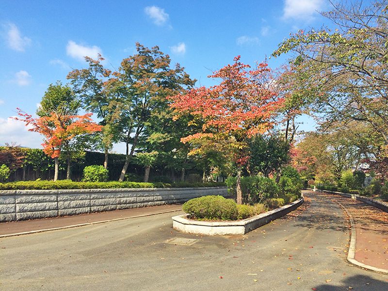 武蔵野霊園 白峯墓地 一般墓・永代供養墓