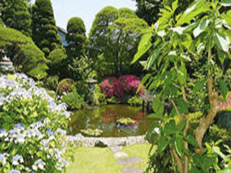 悠久の碑 八王子梅洞寺　美しい庭園風景