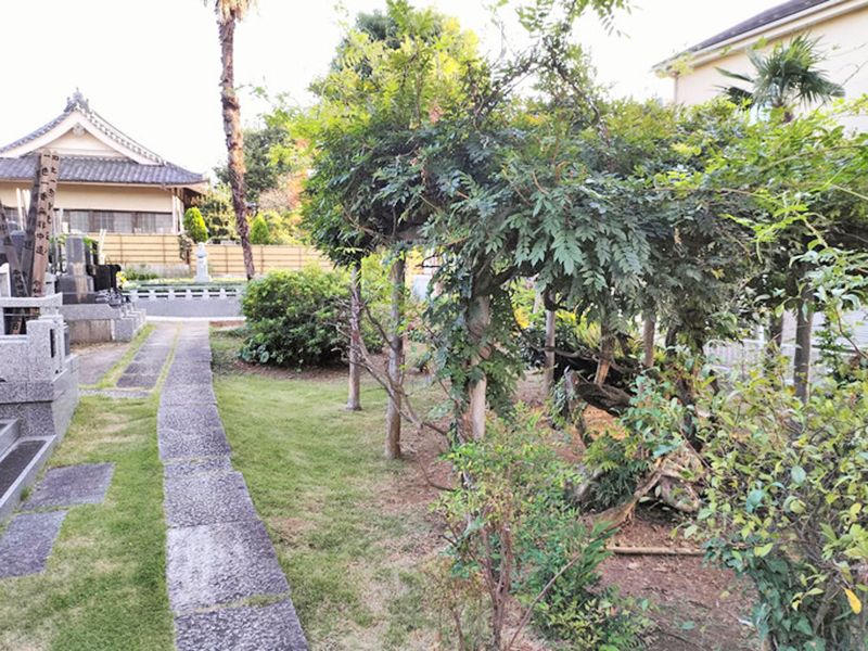 市川中山樹木葬墓苑