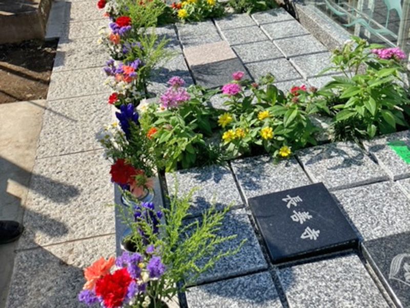 長善寺樹木葬「アルベリ」