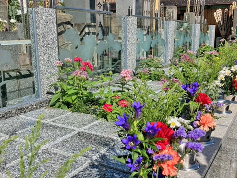 長善寺樹木葬「アルベリ」