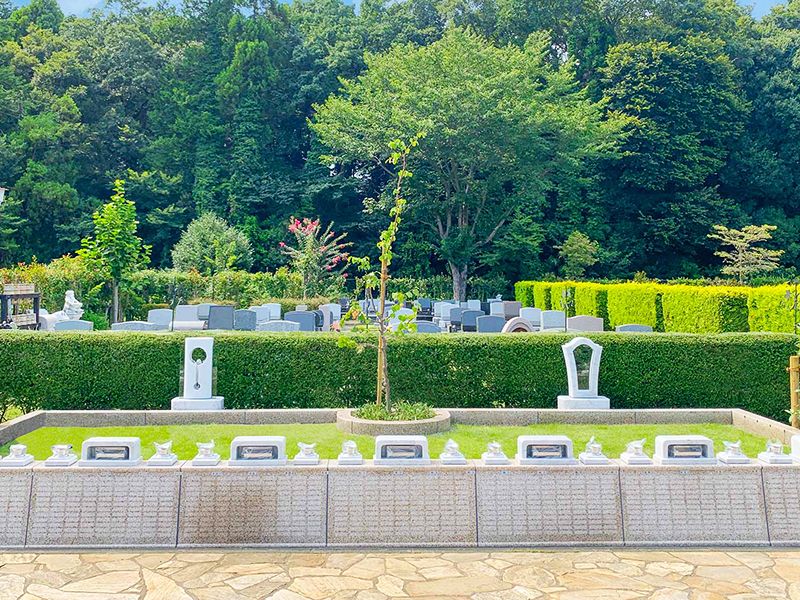 藤沢・綾瀬ふれあいの杜