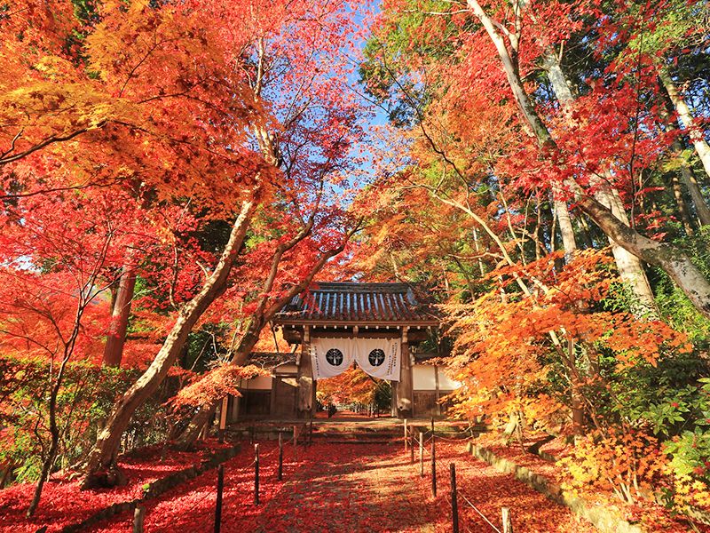 光明寺墓地