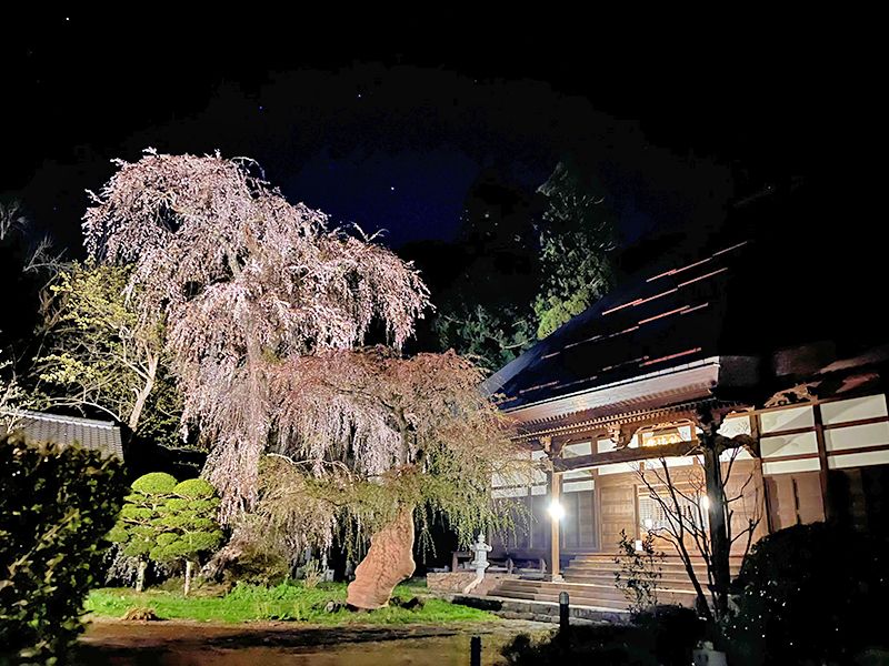 長玅寺 のうこつぼ