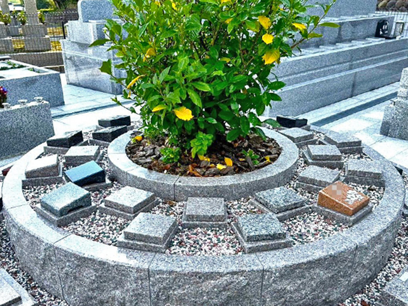 大泉寺 個別永代供養墓 樹木葬