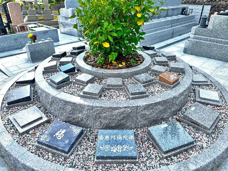 大泉寺 個別永代供養墓 樹木葬