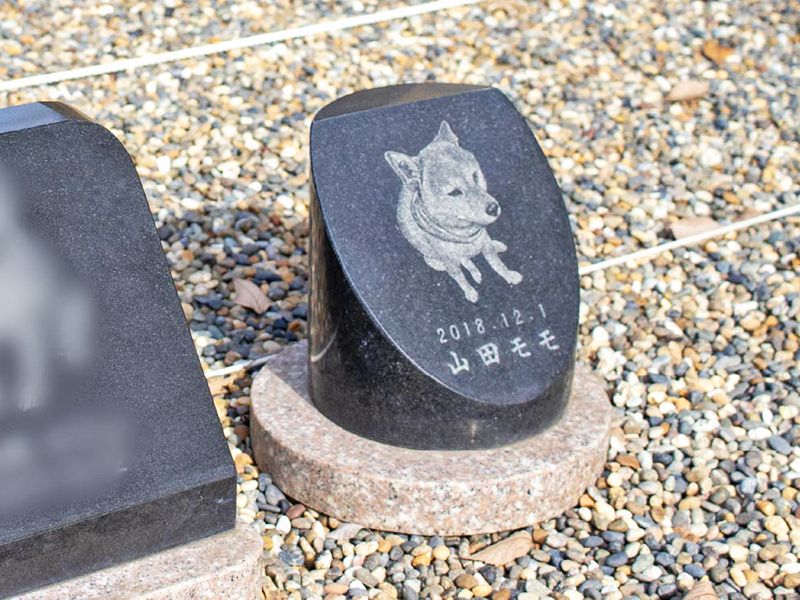 円光院 やすらぎの杜 永代供養墓・樹木葬