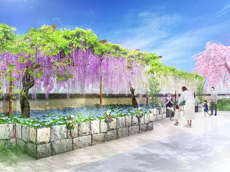 藤と桜の樹木葬（永代供養付き、ペット可）