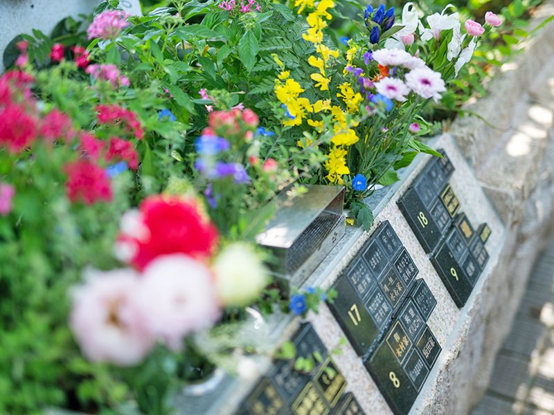 藤と桜の樹木葬（永代供養付き、ペット可）