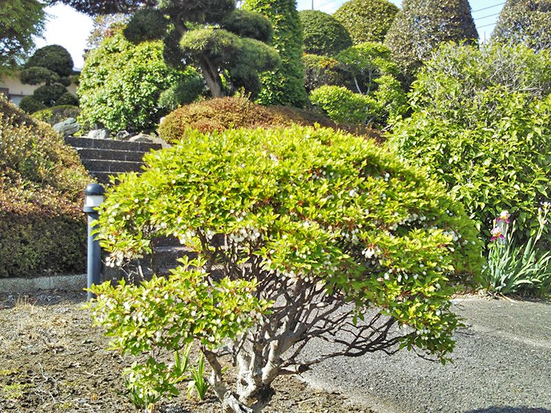 永昌寺