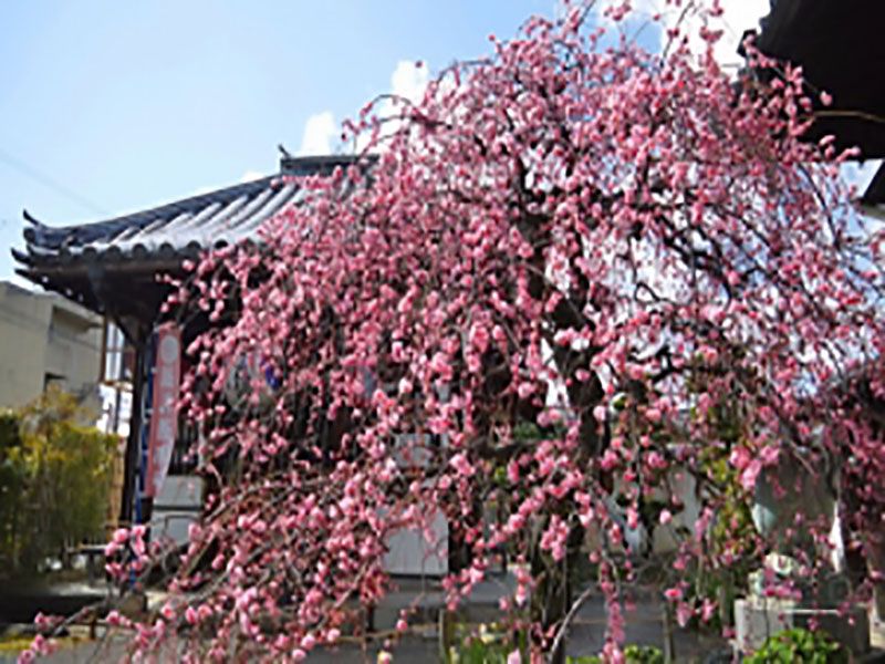 祐正寺