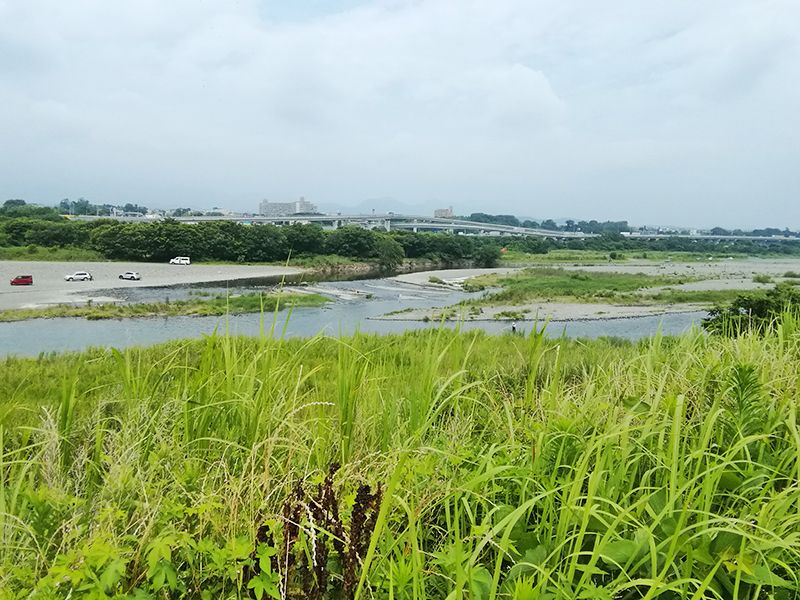 座間リバーサイドメモリアル