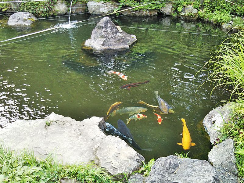 八王子 上川霊園