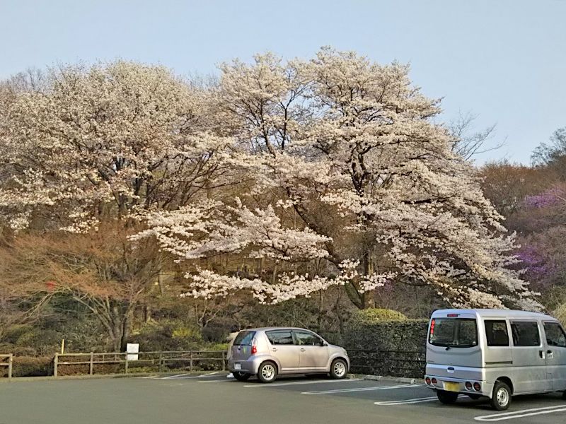 八王子 上川霊園