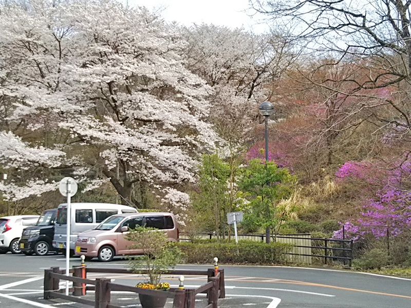 八王子 上川霊園