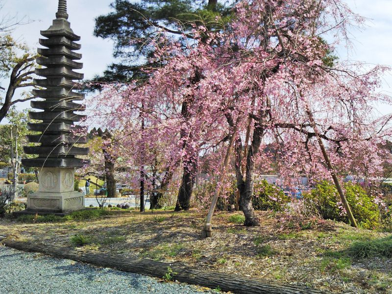 普門寺