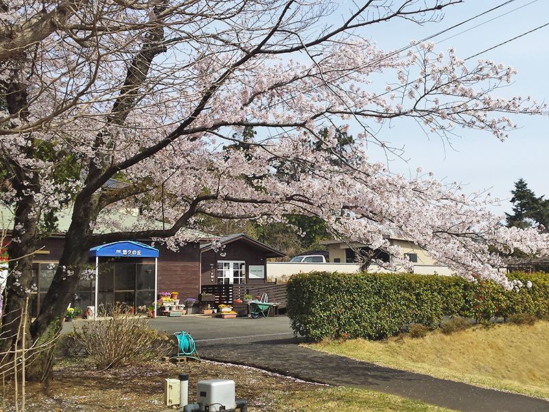 メモリアルガーデン悠久の丘