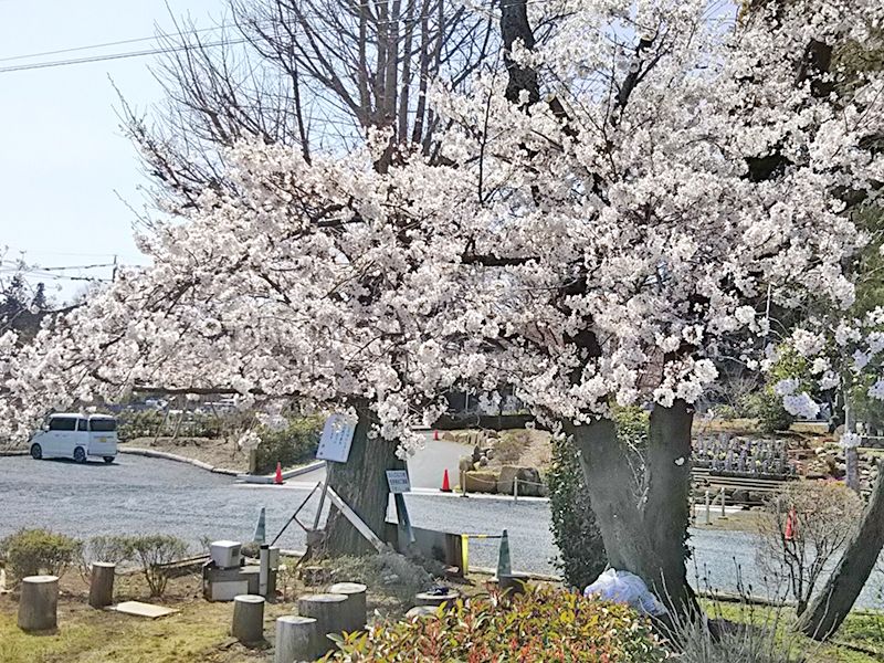 メモリアルガーデン悠久の丘