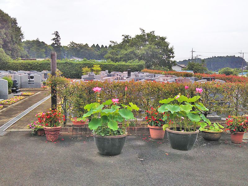 メモリアルガーデン悠久の丘