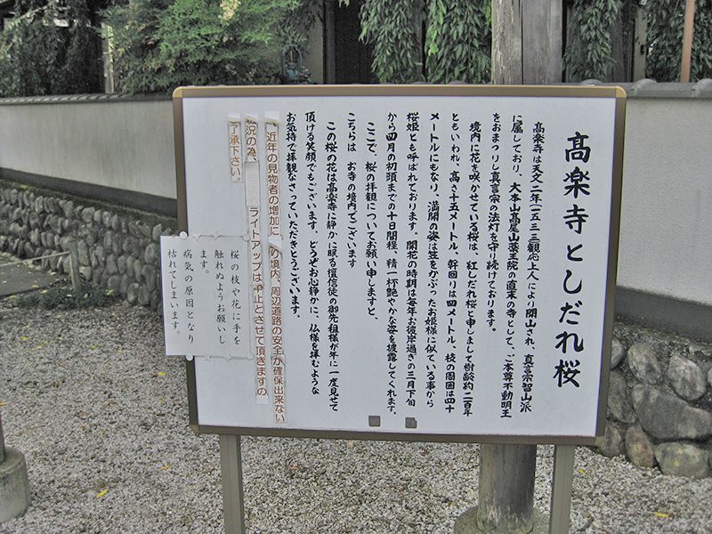 高楽寺