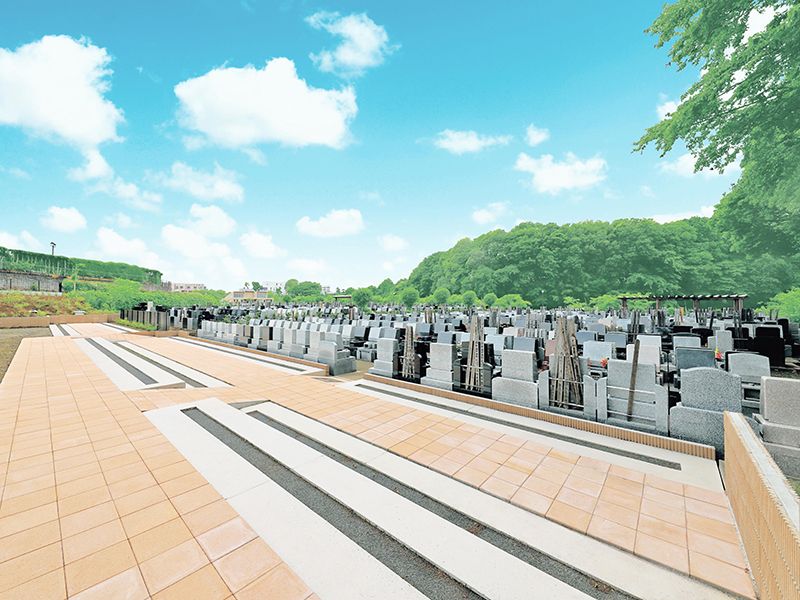 新区画月区