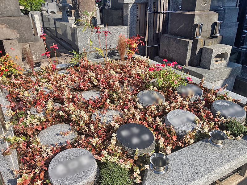 真照寺「プレミアム横浜磯子の杜樹木葬墓地」