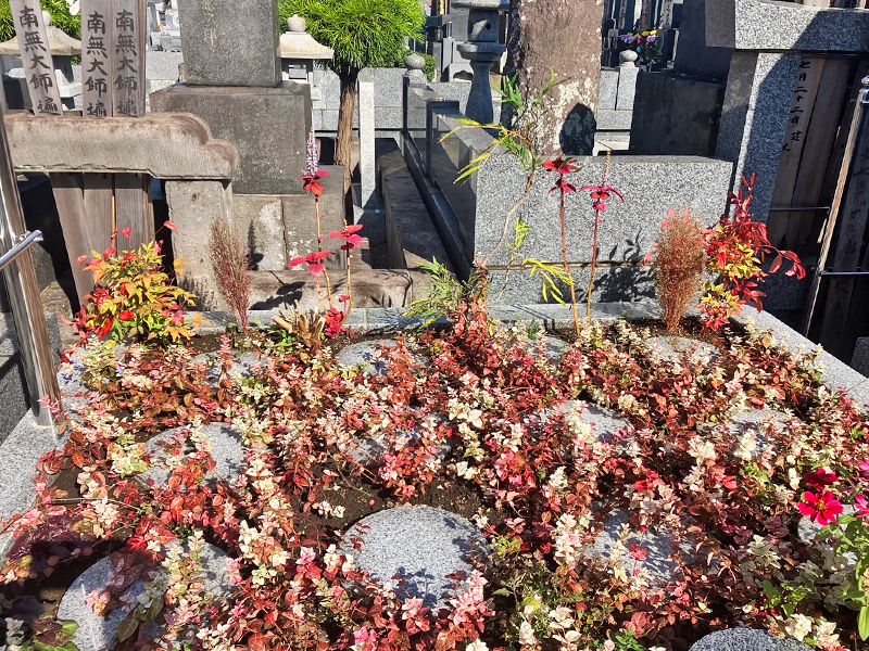 真照寺「プレミアム横浜磯子の杜樹木葬墓地」