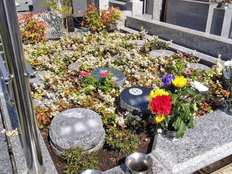 真照寺「プレミアム横浜磯子の杜樹木葬墓地」