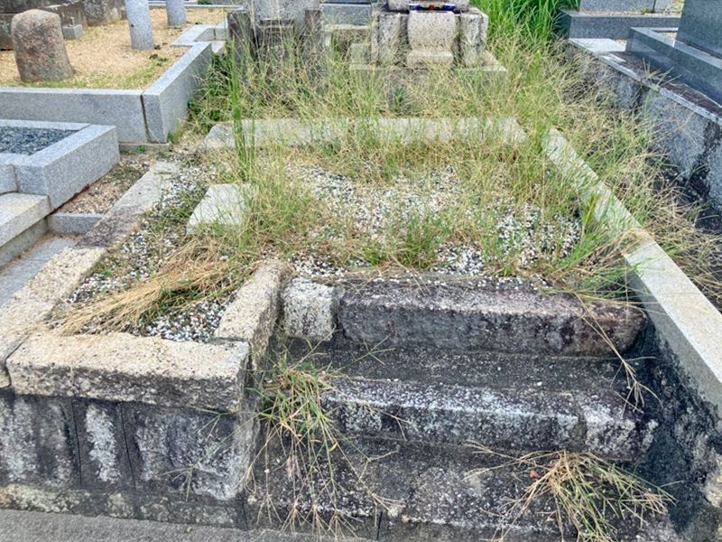 野の花墓地