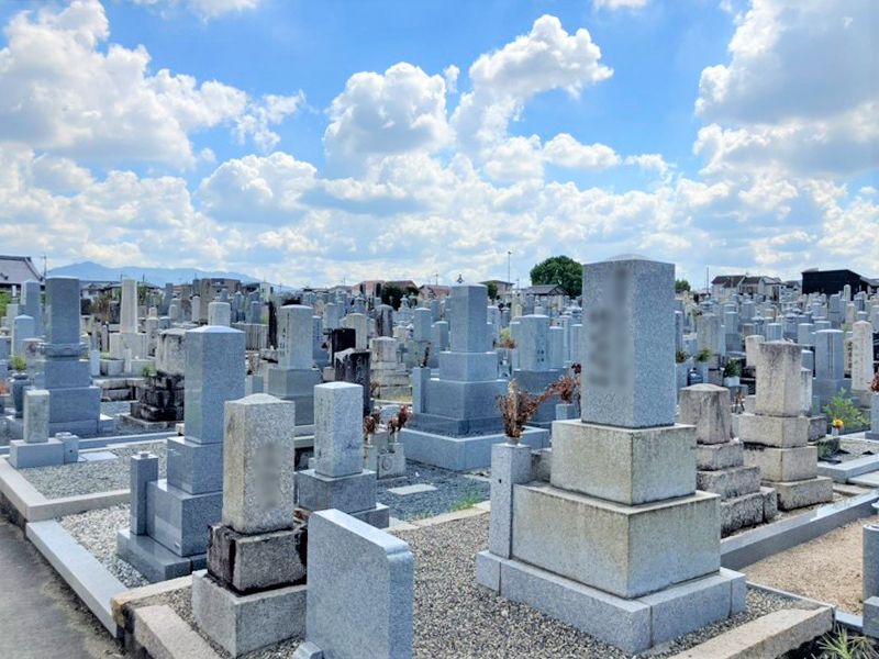 野の花墓地